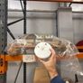 LED Lights commerical / Agri use (Sell off prices) Image 6
