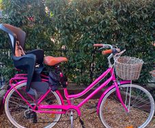ladies pink bike