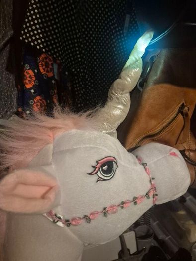 Unicorn Costume