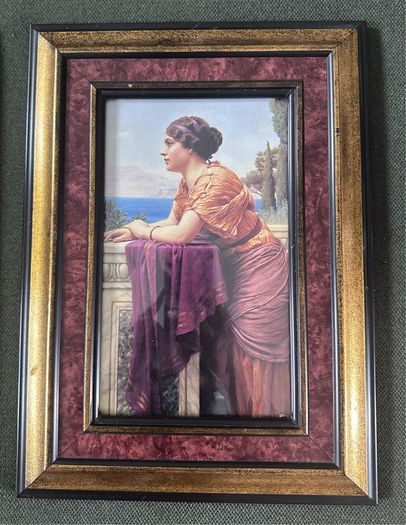 Vintage framed prints pair