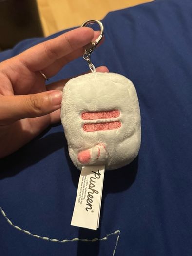 Pusheen surprise box keychain food
