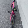 Frog bike 44 Image 4