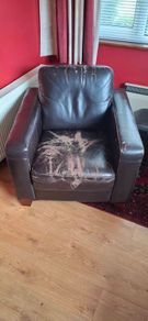Leatherette arm chair (Brown).