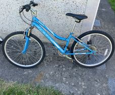 bikes