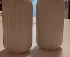 Two white vases