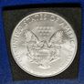 American Silver Eagle 2008 1 oz .999 Coin in capsule Image 3