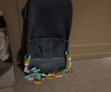 Baby Bjorn Bouncer