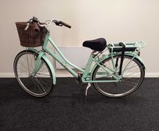 Electric bike