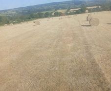 Hay bales