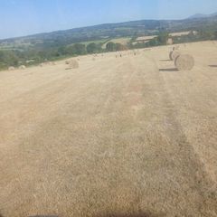 Hay bales