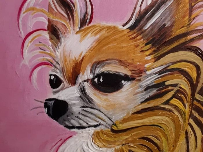 Pet Portraits