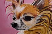 Pet Portraits