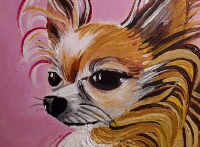 Pet Portraits