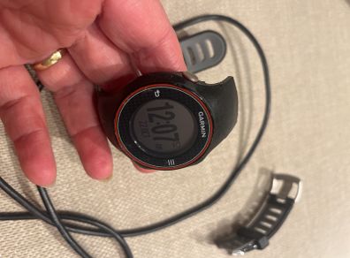 Garmin 310 Watch