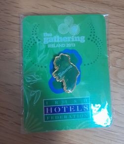 pin from the Gathering 2013