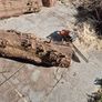 Fire Wood Image 2