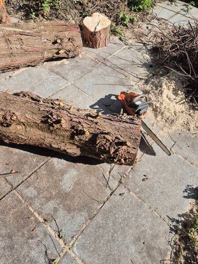 Fire Wood