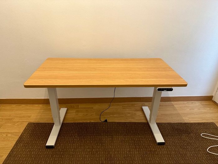 FlexiSpot EQ5 Electric Standing Desk