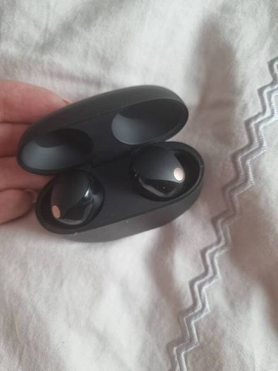 Sony earbuds