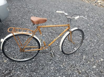 Vintage Eska Bike
