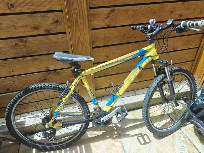 Ferrini mountain bike
