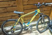 Ferrini mountain bike