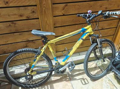 Ferrini mountain bike