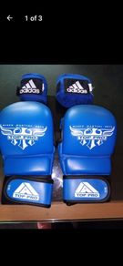 MMA boxing gloves