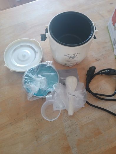Electric car cooker