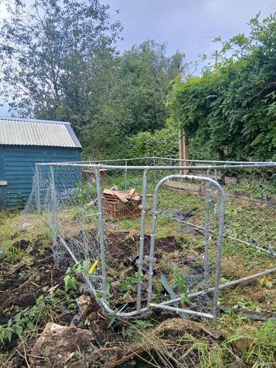 dog/ chicken  run