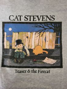 Cat Stevens T Shirt