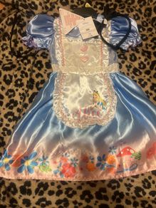 Alice in wonderland Costume 2-3