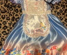 Alice in wonderland Costume 2-3
