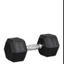 12.5kg dumbbell Image 2