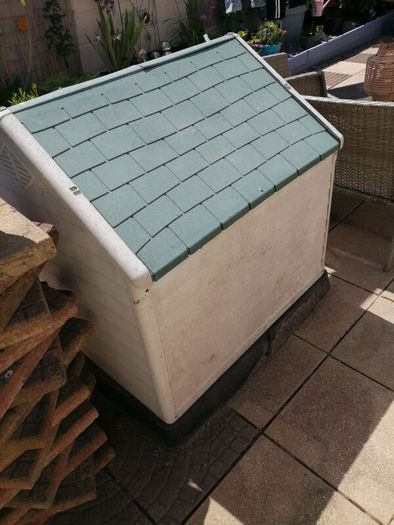 large dog house