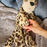 Jellycat Merryday Leopard RARE Image 10