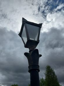 Garden Lights