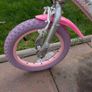 Unicorn Bike Image 4