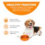 Slow Feeder Dog Bowl (Medium) Image 6