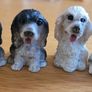 Collectible miniature animals - dogs and cats Image 3