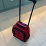 Travel Backpack Image 3