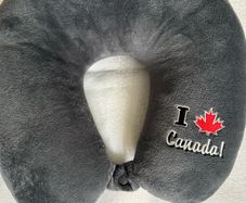 Travel pillow