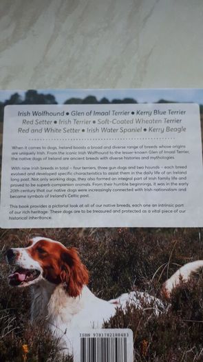 Native Irish Dogs