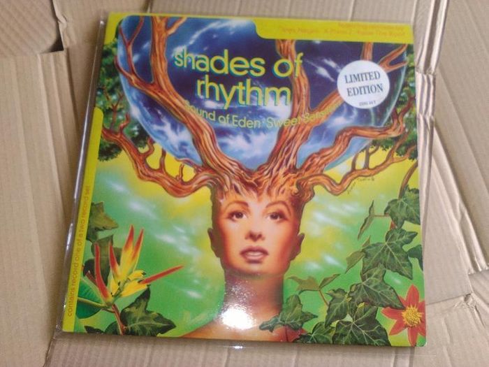50 x BLAKE SLEEVES! Large GATE FOLD Vinyl Record Covers Crystal CLEAR plastic Outer sleeves - NO FLAP SEAL #9MN2