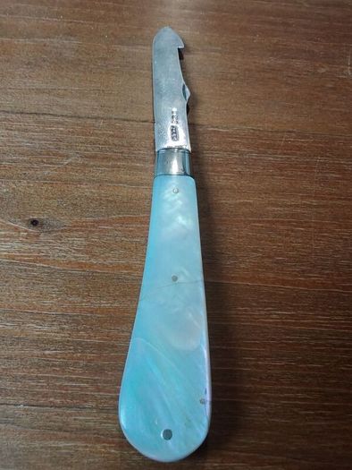 Silver Mother of Pearl Fruit Knife
