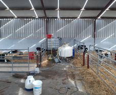 Power Automatic Calf Feeder PLS