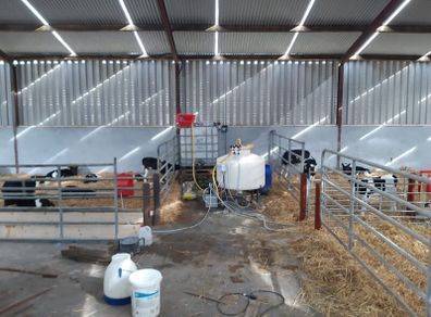 Power Automatic Calf Feeder PLS