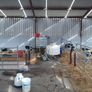 Power Automatic Calf Feeder PLS Image 5