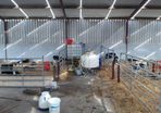Power Automatic Calf Feeder PLS