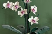 lego orchid